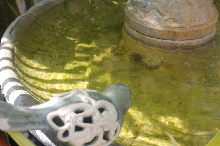 Intense use of sunlight.