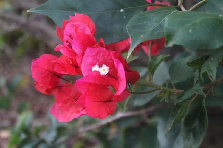 Using different angles can give us a new perspective on the image.