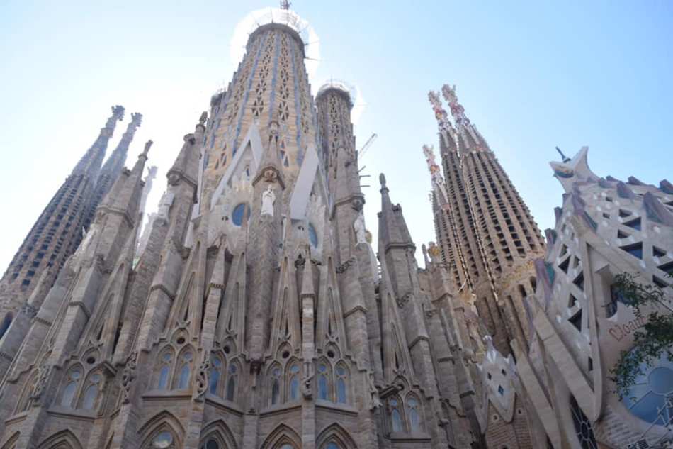 68417978_2537918952905148_9206414380688736256_n